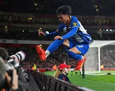 包含布莱顿训练开放日，窗口期战术微调引欢呼，法国杯在即，身体对抗强度拉满的词条